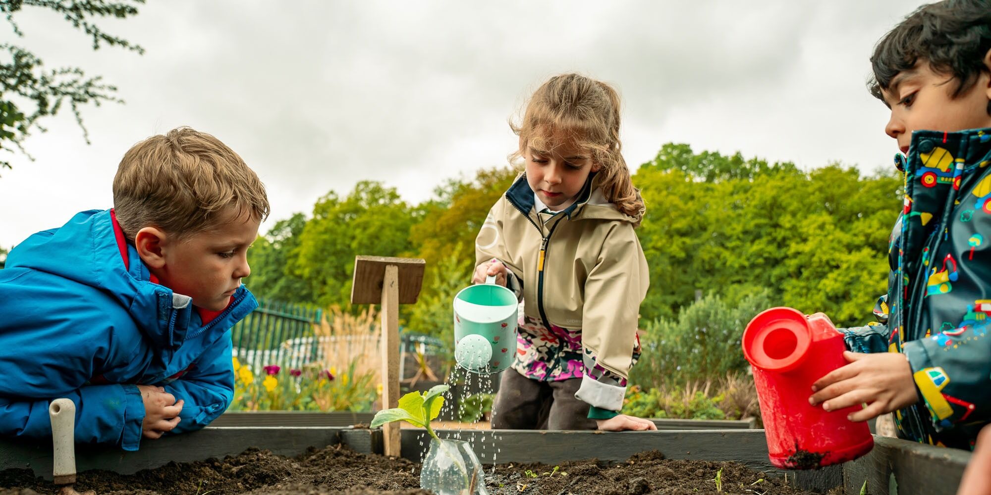 Welcome to Robin Hood Primary & Nursery School